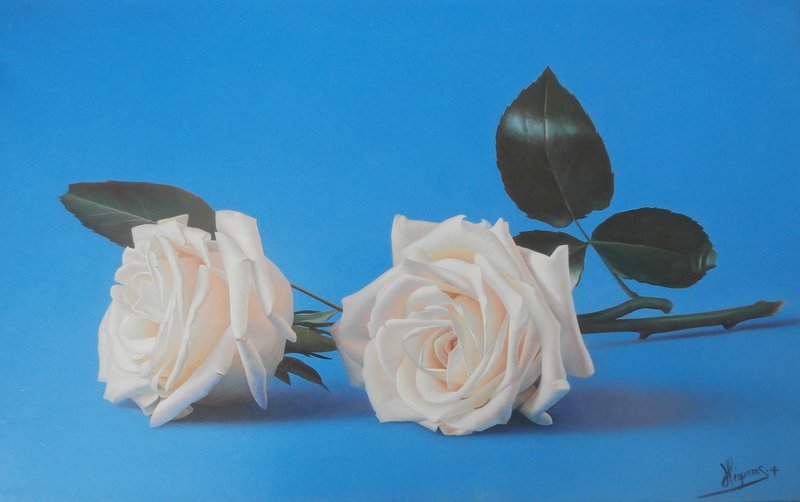 A pair of roses