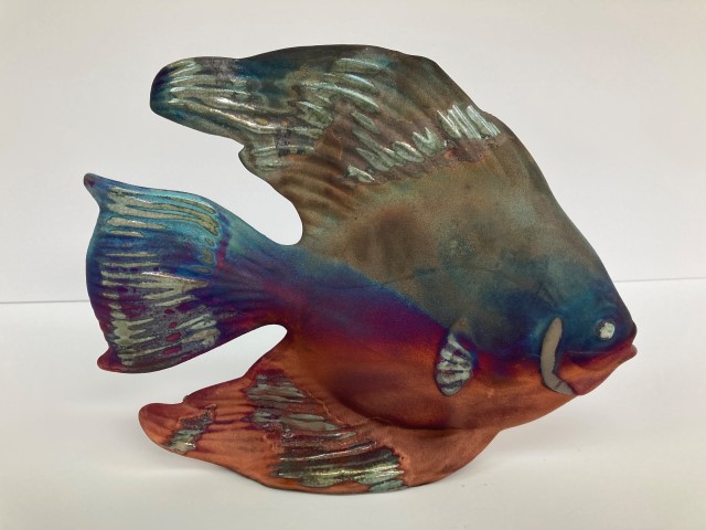 Raku Angel
fish