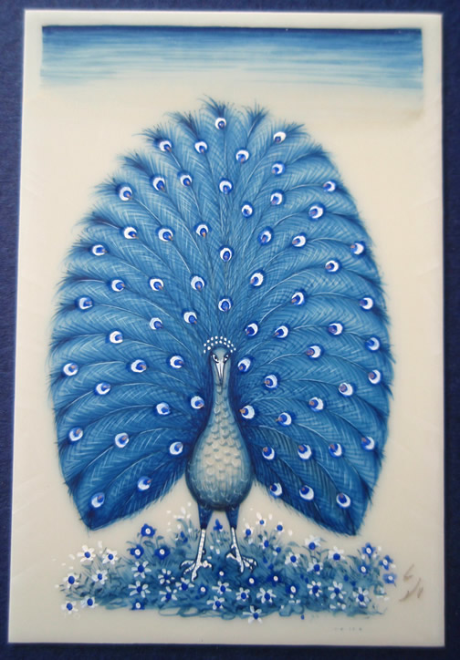 Blue
                        Peacock B