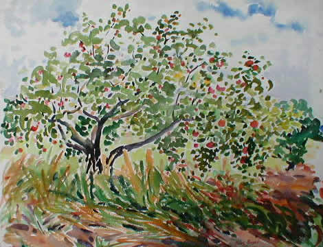 Apple Tree With Fruit