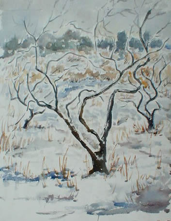 Barren Trees In Winter Under Grey Sky