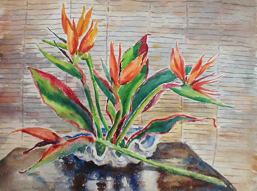 Bird Of Paradise In Front Of Drawn Blind