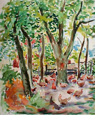 Chickens Under Shade
                    OfTrees