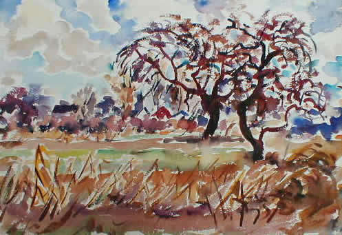 Fall Landscape With Two Sweeping Trees