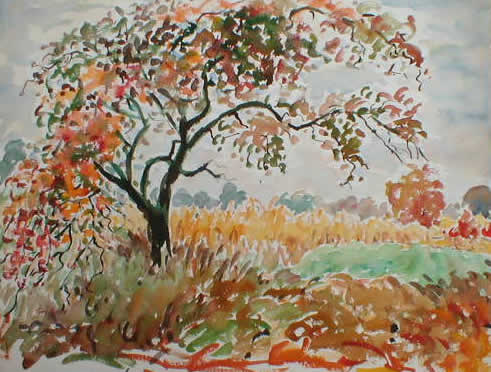 Fall Tree By Golden Field