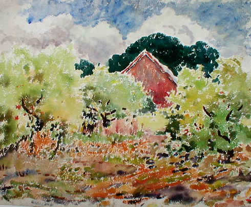 Orchard Trees And Red Barn Peak