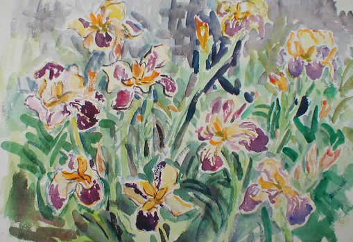 Purple And Yellow Irises