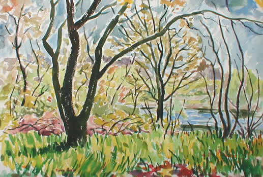 Tree Landscape At The River