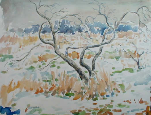 Gray Apple Tree In Winter