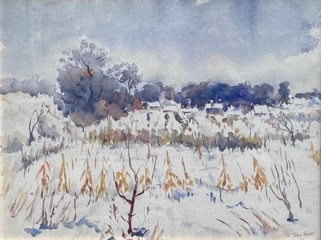 Corn field in winter landscape
