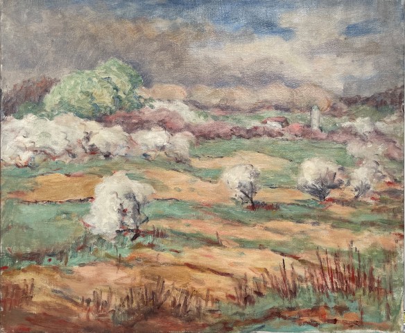 Field with Trees in Spring Blossoms study