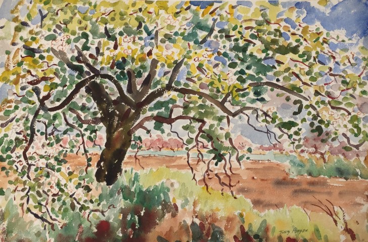 Large Tree with Orchard in Distance