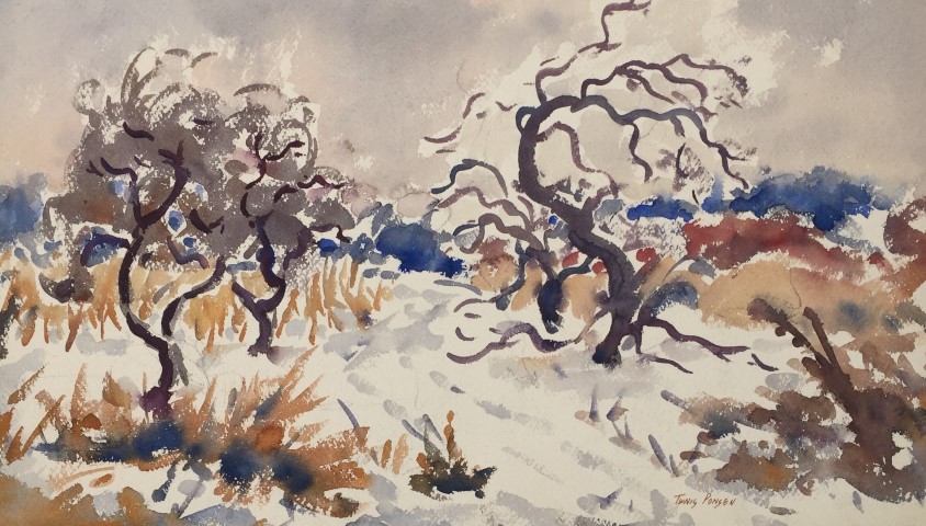 Three Orchard Trees in Winter