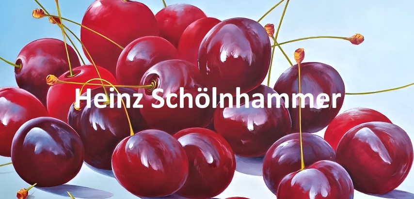 Heinz Schölnhammer