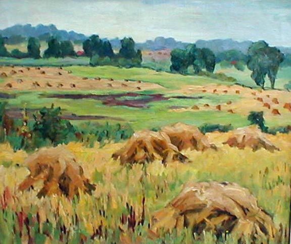 Fields of Stacked
                    Wheat